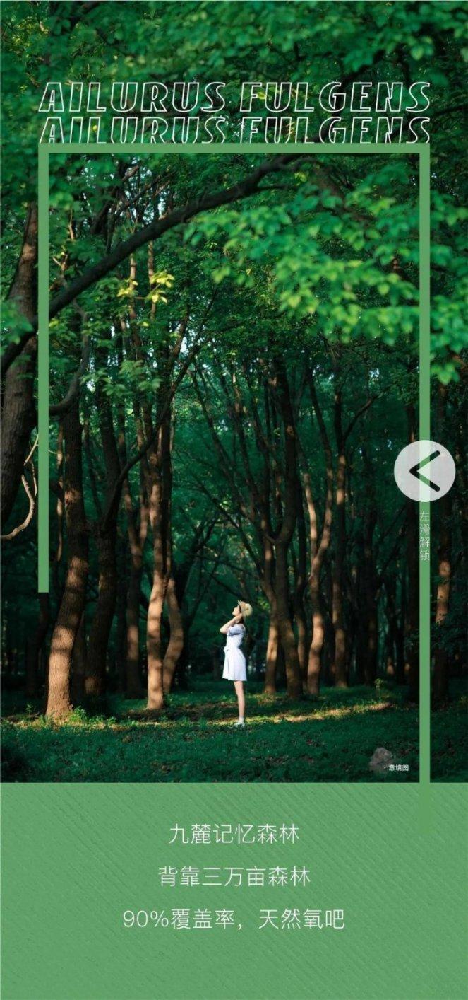 热血进行曲